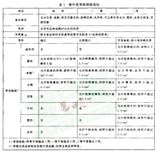 雪梨放冷庫(kù)前標(biāo)準(zhǔn)