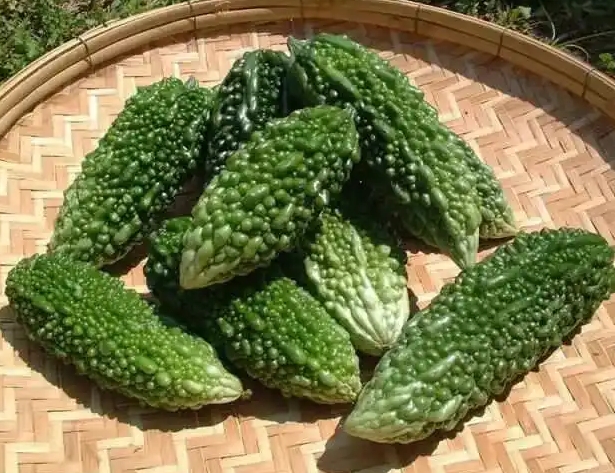 永靖縣冷庫