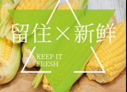 鮮食玉米在冷庫能存放多長時(shí)間？-萬能制冷